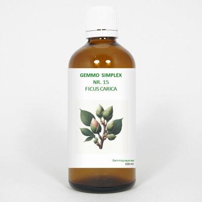Balancepharma Gemmo simplex 15 ficus carica 100 Milliliter