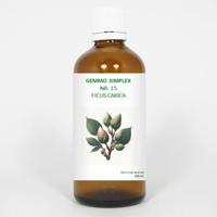 Balancepharma Gemmo simplex 15 ficus carica 100 Milliliter - thumbnail