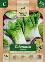 Zichoriensla herfstsla 200st - thumbnail