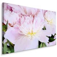 Schilderij - Roos in het roze, eyecatcher voor aan de wand, premium print - thumbnail
