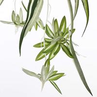 Mica Decorations kunstplant chlorophytum 45cm groen - thumbnail