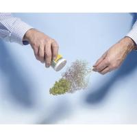 NOCH 23100 Boom (zonder bladeren) 1 stuk(s) - thumbnail