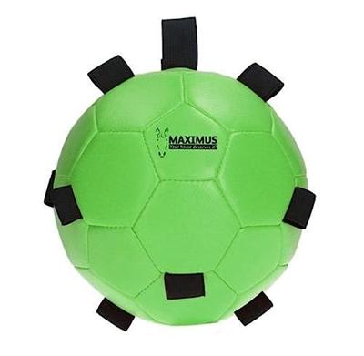 Maximus Fun Play Ball Green