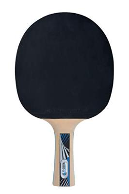 Tafeltennisracket - SCHILDKRÖT - LEGENDS 1000 FSC