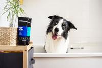 Animology Top Dog Conditioner 250 ml - thumbnail