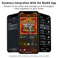 Bluesound Node Prestaties Multi-Room Hi-Res draadloze muziekstreamer - Zwart - thumbnail