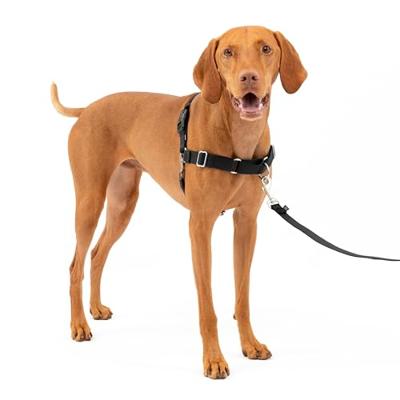 Petsafe easy walk anti-trek tuig zwart