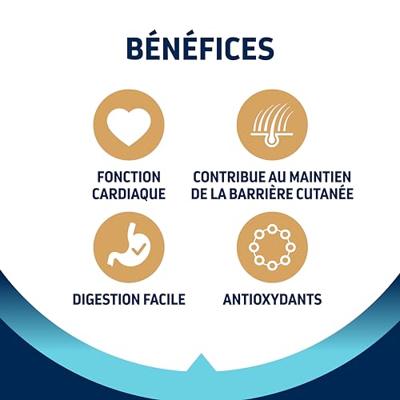 ADVANCE ADULT FRENCH BULLDOG 7,5 KG