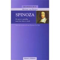 Spinoza (Paperback) - thumbnail
