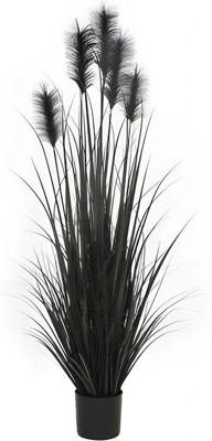 Pluimgras in pot 153 cm zwart Hortus - Hortus