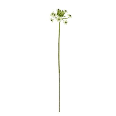 Ornithogalum Kunstbloem 65cm