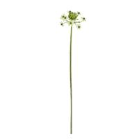 Ornithogalum Kunstbloem 65cm - thumbnail