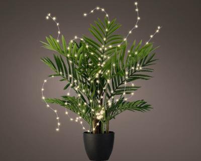 Microled plant verlichting ster 160 lamps warm wit