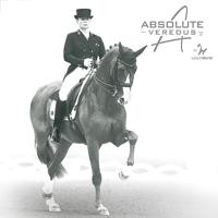Veredus Absolute Elastic Peesbeschermers wit maat:l - thumbnail