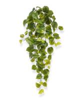 Philodendron kunst hangplant 65cm - groen - thumbnail