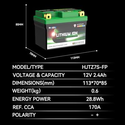 Skyrich lifepo4 batterij "hjtz7s-fp". battery hjtz7s-fp-swi lithium