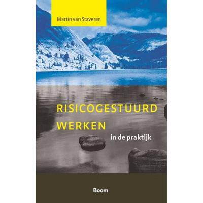 Risicogestuurd werken in de praktijk (Paperback)