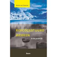 Risicogestuurd werken in de praktijk (Paperback) - thumbnail
