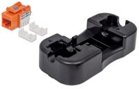 Intellinet 210775 RJ45-inbouwmodule Keystone CAT 6 1 stuk(s) - thumbnail