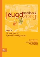Handboek jeugdzorg deel 1 (Paperback) - thumbnail
