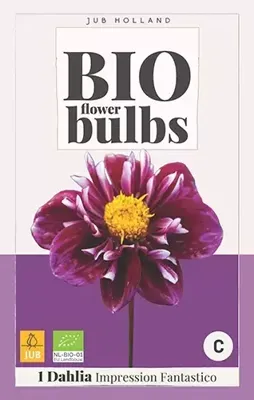 BIO Dahlia impression fantastico