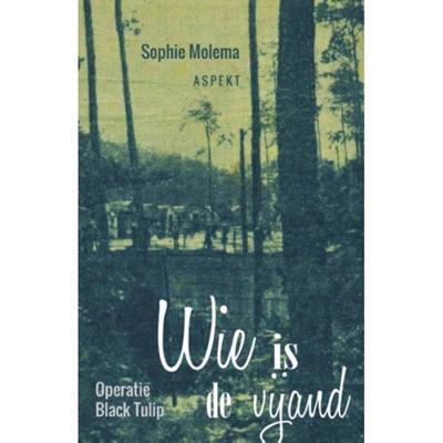 Wie is de vijand (Paperback)