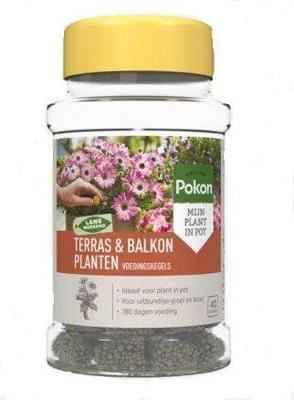 Pokon terras balkon planten voedingskegels 40st