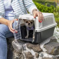 FERPLAST Atlas 5 - reismand voor kleine dieren - grijs - thumbnail