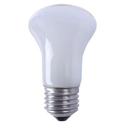 Falcon eyes halogeen instellamp ml-60 60w e27 fitting