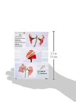 Olympia Lamineerfolie DIN A6 glanzend 100 stuk(s) - thumbnail