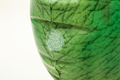 Bestway Opblaasbare Dinosaurus Sproeier 99x76x122 cm +3 Jaar Tuin 52294