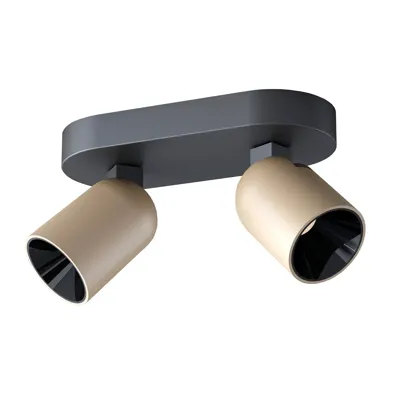 Artdelight PlafondlampHouston 2-lichts zwart met champagne - PL HOUSTON2 ZW-CP