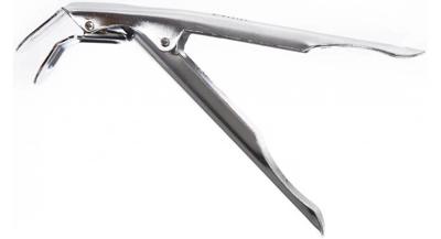 The bastard grillgrijper