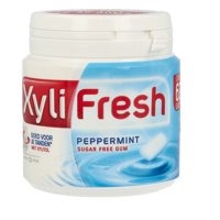 Xylifresh Peppermint 93 Gram - thumbnail