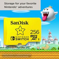 Sandisk 00183573 - thumbnail