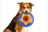 Bama Pet Trotto Disk Hondenspeelgoed 24.5x4.5 cm Blauw/Geel/Rood - thumbnail