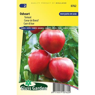 Tomaat Oxheart Tomaat Oxheart