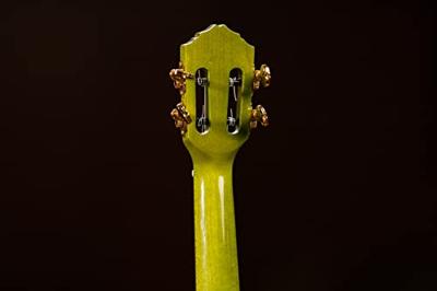 Ortega Prism series RUPR-IVY tenor ukelele met tas