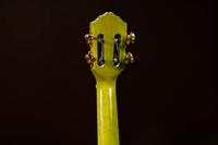 Ortega Prism series RUPR-IVY tenor ukelele met tas - thumbnail