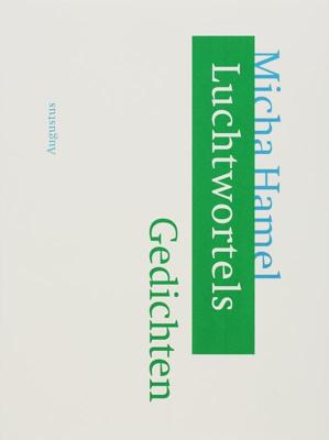 Luchtwortels - Micha Hamel - Paperback (9789045700748)