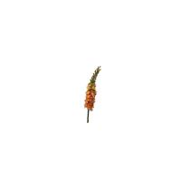Roberts Collection Kunstbloem eremures spray 82cm oranje - thumbnail