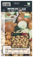 Zomer Bloembollen Uien Sturon (per 500 gram) Baltus - Baltus - thumbnail