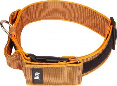 Halsband Met Beveiligingssluiting - Oranje - 50mm x 47-67cm