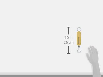 C.K T6202 066 Veerweegschaal Weegbereik (max.) 30 kg