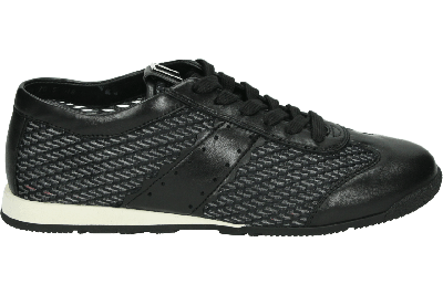 Hogl 101148 KAI - alle