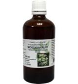 Cruydhof Tanacetum parthenium herb/moederkruid tinctuur 100 Milliliter Cruydhof Tanacetum parthenium herb/moederkruid tinctuur 100 Milliliter