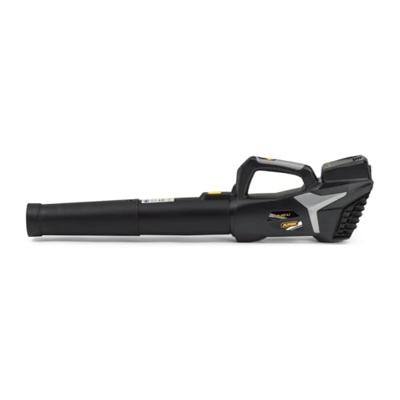 ALPINA Outdoor AB 20 Li Bladblazer Accu 20 V