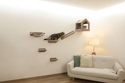 Klimwand voor katten - KERBL - MONTE BALDO - 6 stuks - Grijs - Grote kennel