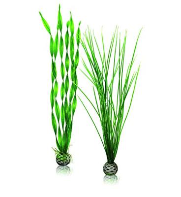 BiOrb planten groot groen aquarium decoratie