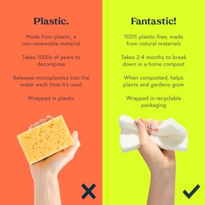 Seep Eco pop-up sponzen - 2 stuks